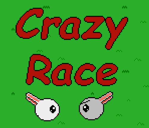 Crazy Race Image
