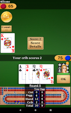 Cribbage Pro screenshot