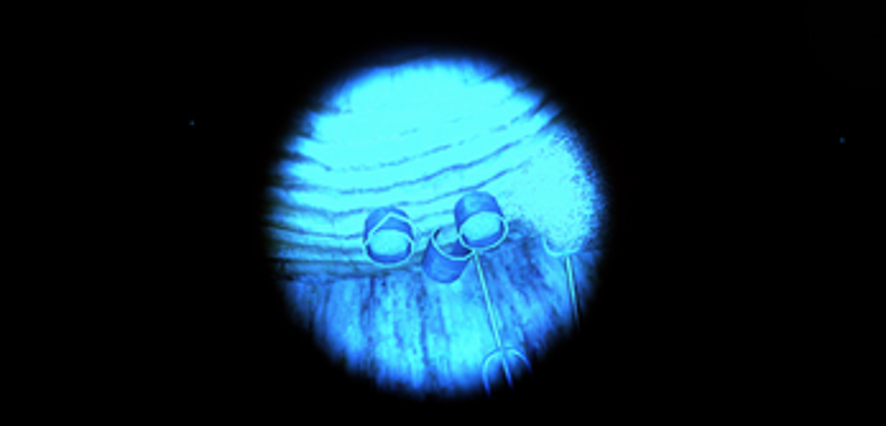 PT (Terminal 69) screenshot