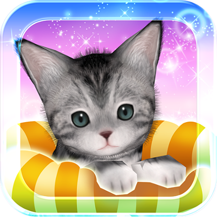 My Cat My Room Image