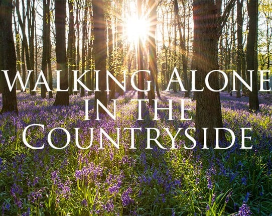 Walking Alone in the Countryside Game Cover