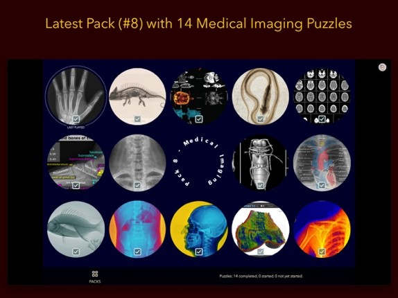 Anatomy Puzzles screenshot