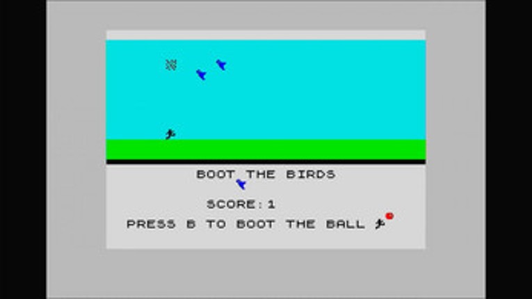 BOOT THE BIRDS Image