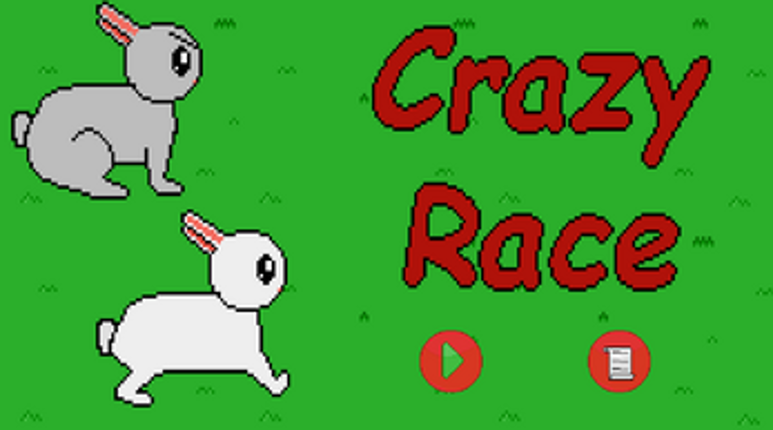 Crazy Race Image