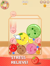 Melon Maker : Fruit Game Image