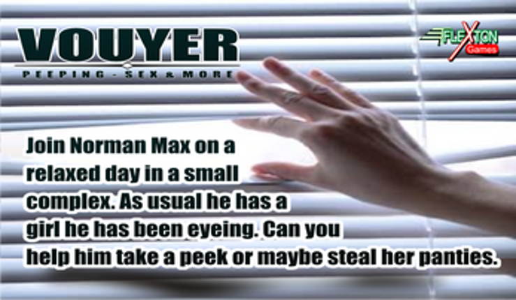 Voyuer 3D Sex Game Image