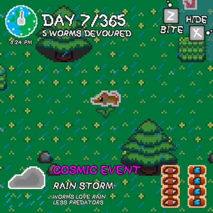 Shrewd Acceleration Image