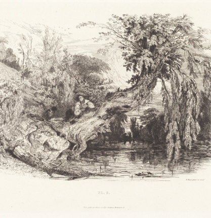 VENISON Image