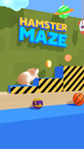 Hamster Maze Image