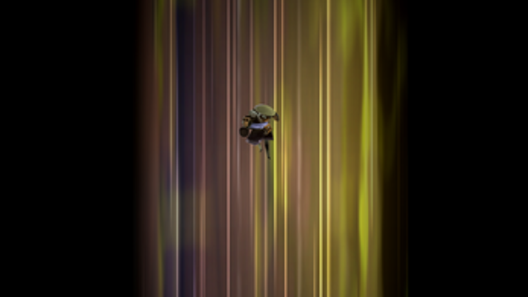 Djabo Image