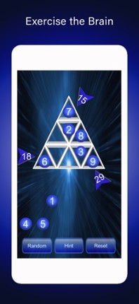 Magic Hexagon Number Puzzle screenshot