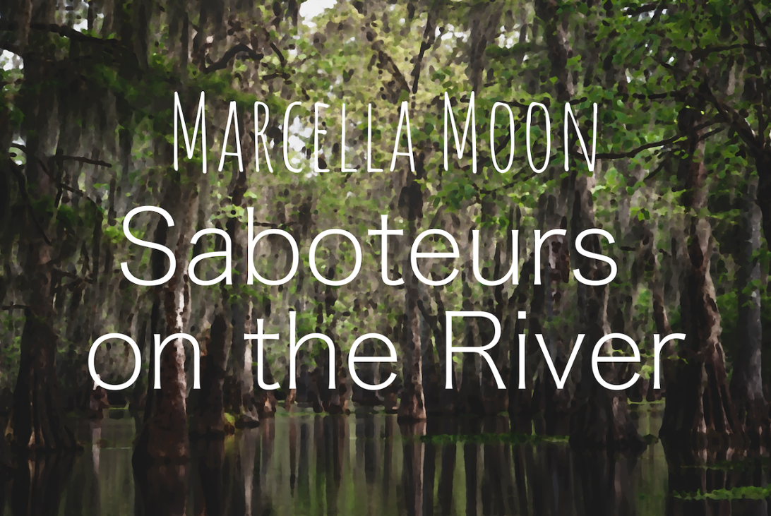 Games like Marcella Moon: Saboteurs on the River