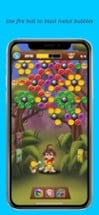 Safari Rescue: Bubble Shooter Image