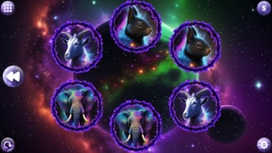 Space Memory: Animals Image