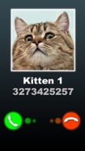 Fake Call Kitten Joke Image