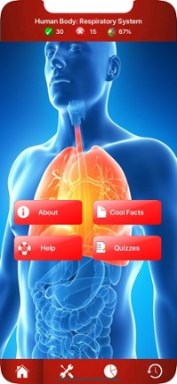 Respiratory System Trivia Image