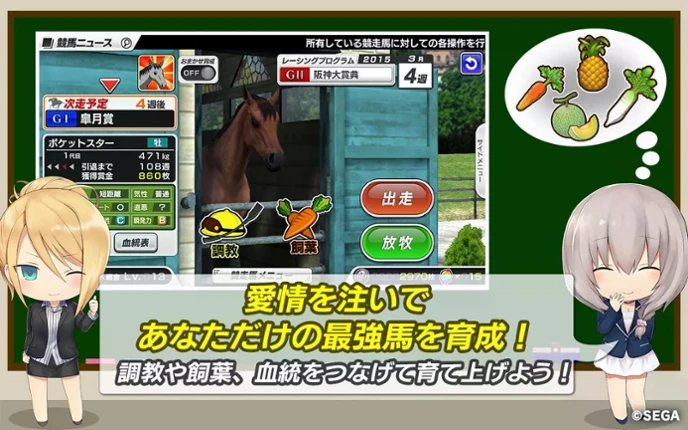 StarHorse Pocket Image