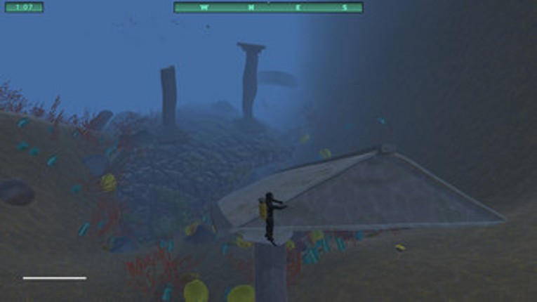 Treasure diver Image