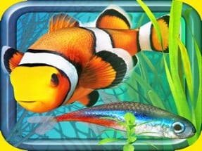 Fish Farm - Aquarium Simulator Image