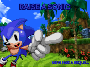 Raise A Sonic Image