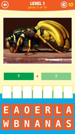 1 Pic Combo: What's the thing? Image