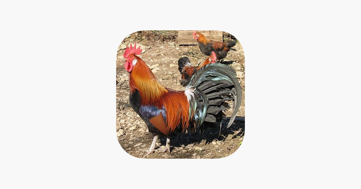 Games like Farm Animals Quiz