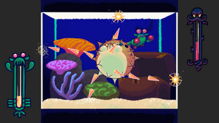 Fish Tank Fight Night Image