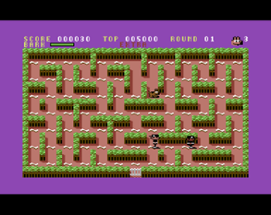 Scout The Stray (C64) Image