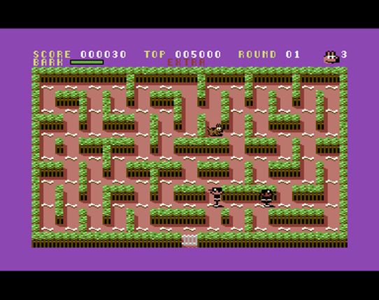 Scout The Stray (C64) Image