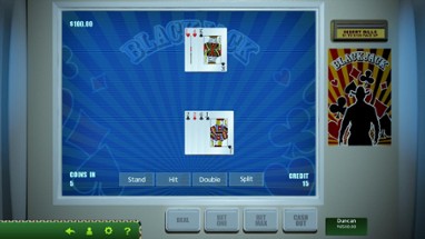 Hoyle Official Casino Games Image