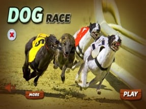 3D Virtual Dog Racing and Stunts 2017 Tournament Image