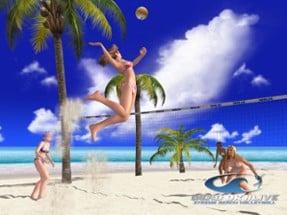 Dead or Alive Xtreme Beach Volleyball Image