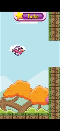 Easter Egg Bird Image