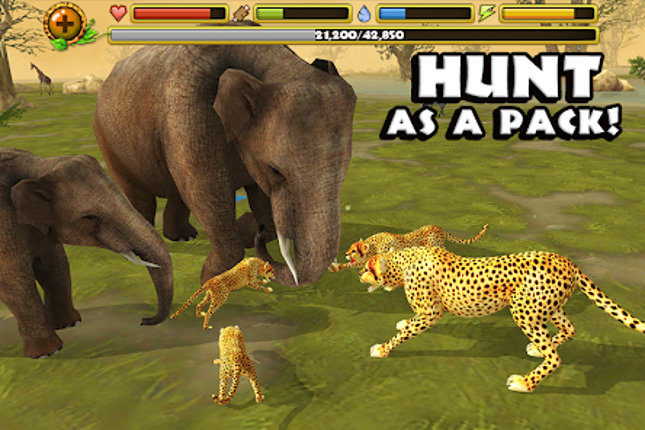 Cheetah Simulator screenshot