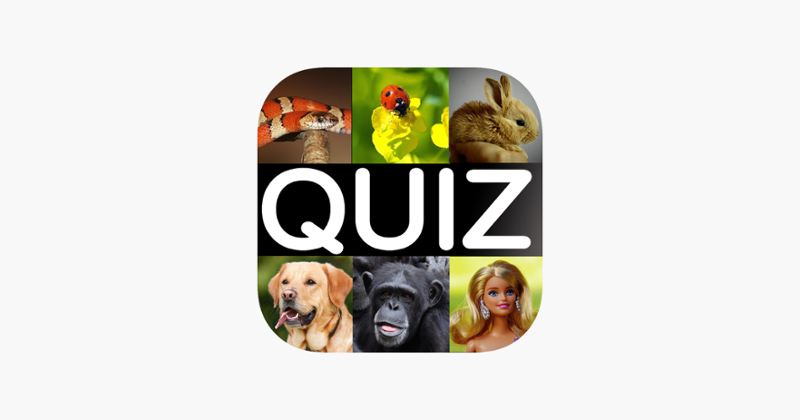 What is it? the funny picture quiz game! Image