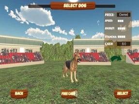 3D Virtual Dog Racing and Stunts 2017 Tournament Image