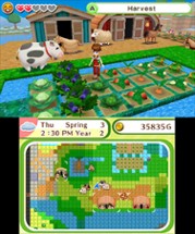 Harvest Moon: Skytree Village Image