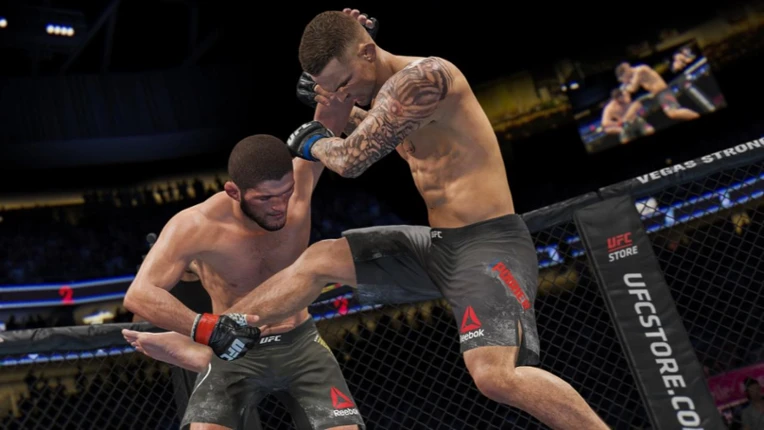 UFC 4 Image