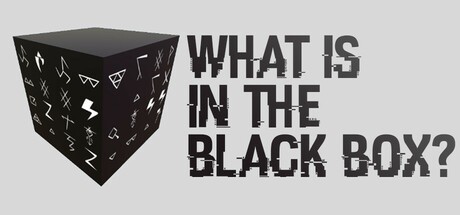 Games like What is in the Black Box?