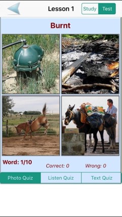 English Grammar With Photos (Learning &amp; Practice) screenshot