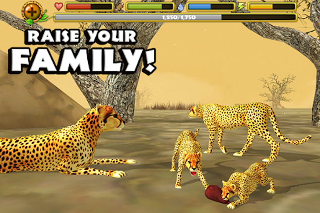 Cheetah Simulator Image