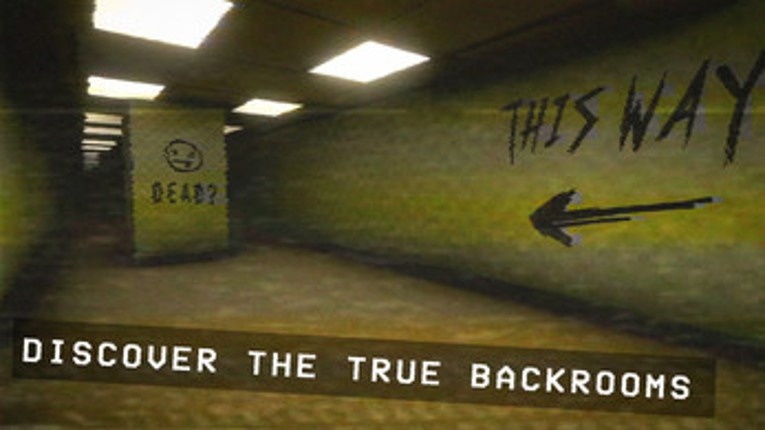 Backrooms Found Footage Game Image