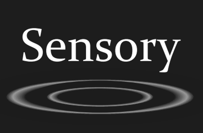 Sensory Game Cover