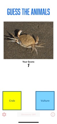 Guess Animals! Image