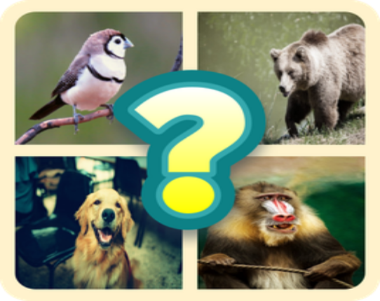Guess the Animal pics - Quiz Image