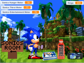 Raise A Sonic 1 Image