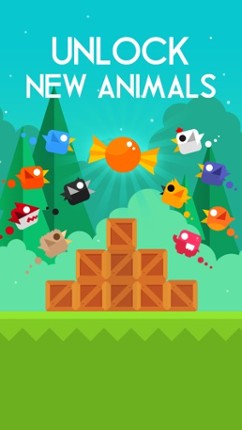 Run Bird Run Image