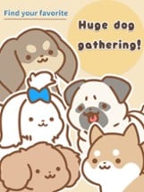 All star dogs! Image