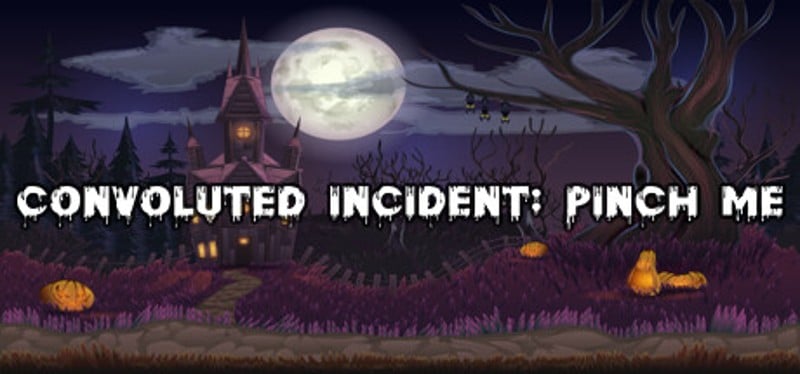 Convoluted Incident: Pinch me Game Cover