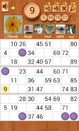 Loto Online screenshot